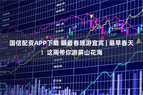 国信配资APP下载 跟着春晚游宜宾 | 最早春天！这周带你游屏山花海