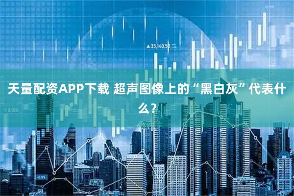 天量配资APP下载 超声图像上的“黑白灰”代表什么？