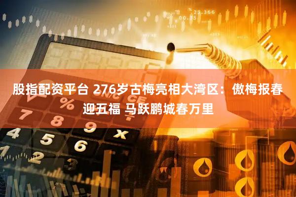 股指配资平台 276岁古梅亮相大湾区：傲梅报春迎五福 马跃鹏城春万里